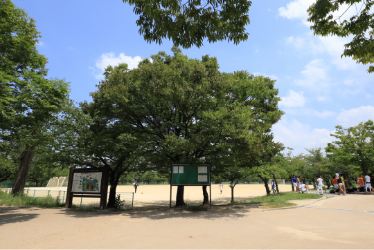 白鷺公園