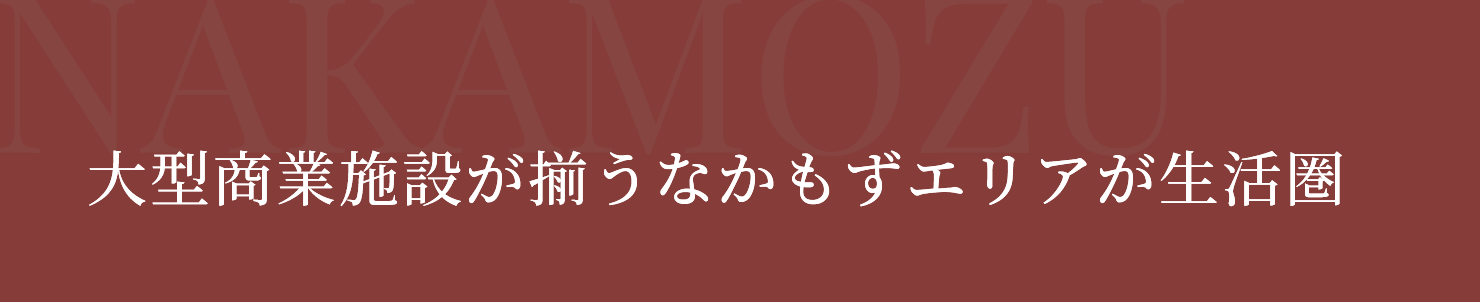 大型商業施設が揃うなかもずエリアが生活圏