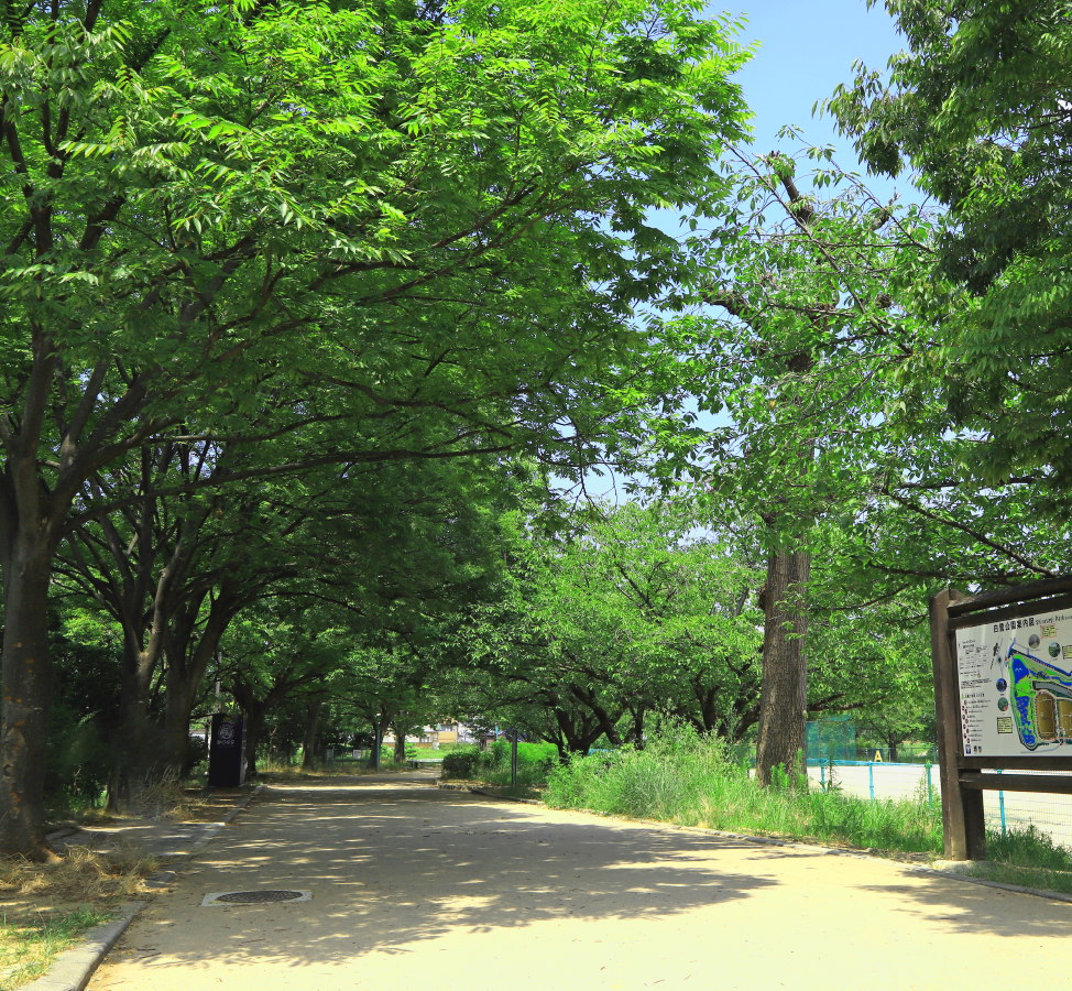 白鷺公園